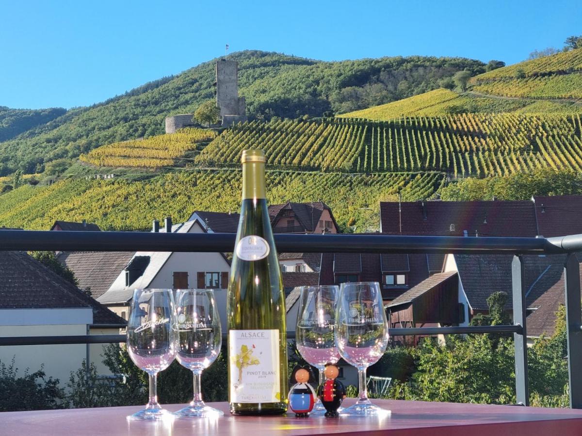 Gites Les Terrasses Du Wineck Katzenthal エクステリア 写真