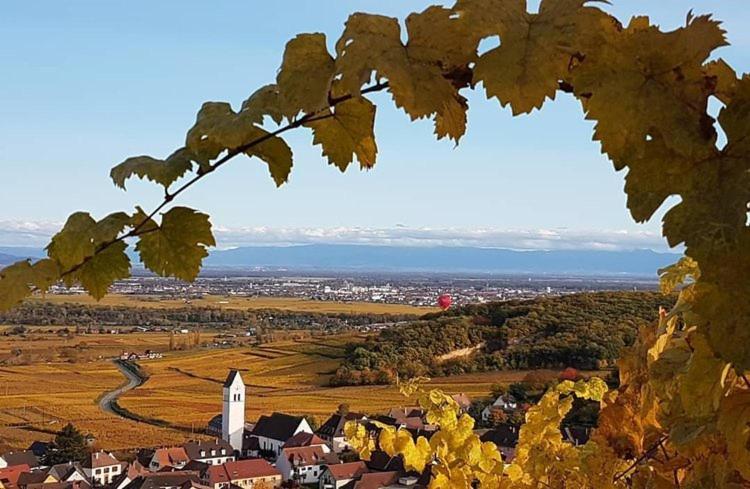 Gites Les Terrasses Du Wineck Katzenthal エクステリア 写真