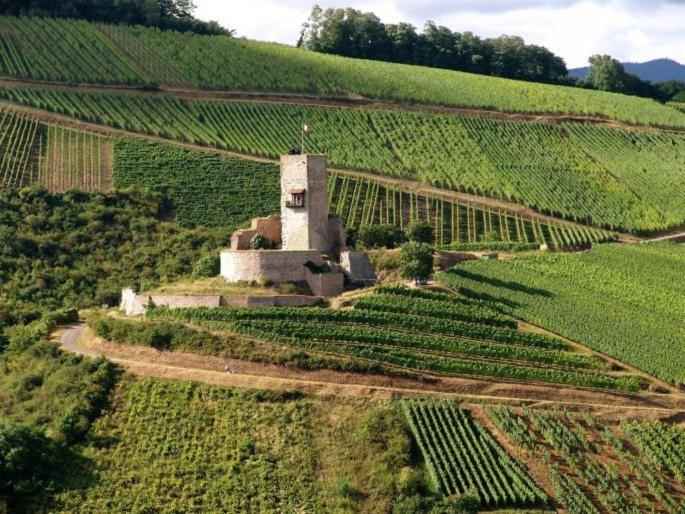 Gites Les Terrasses Du Wineck Katzenthal エクステリア 写真