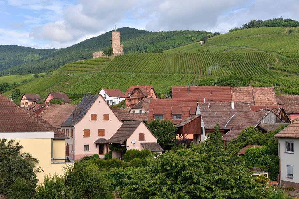 Gites Les Terrasses Du Wineck Katzenthal エクステリア 写真